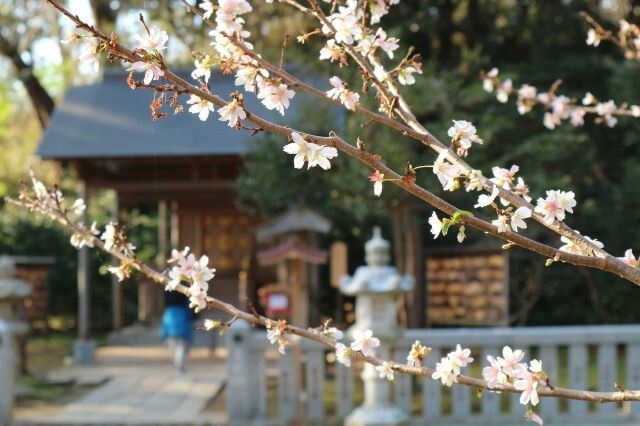 神社②