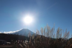 日中の富士山
