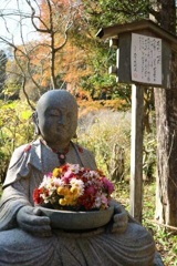 鎌倉　明月院③