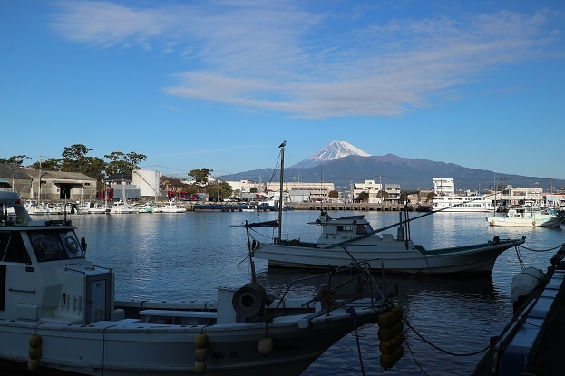 沼津港と富士山