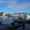 沼津港と富士山