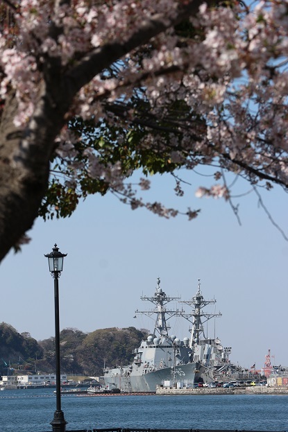 桜と船