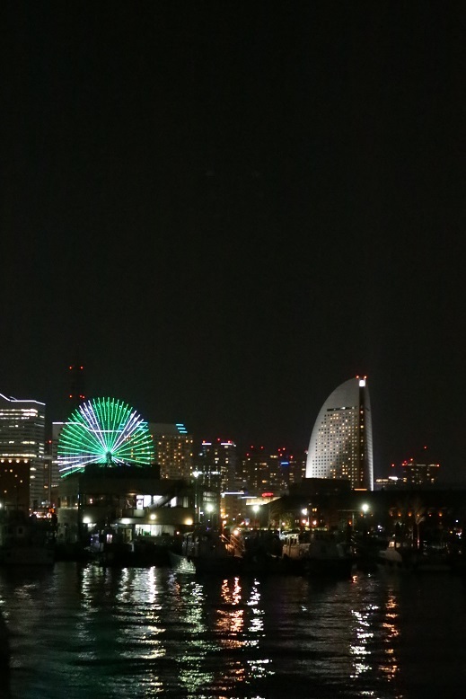 山下公園の夜景②