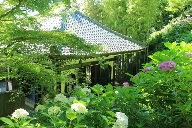 長谷寺にて②