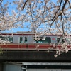 京急と桜①