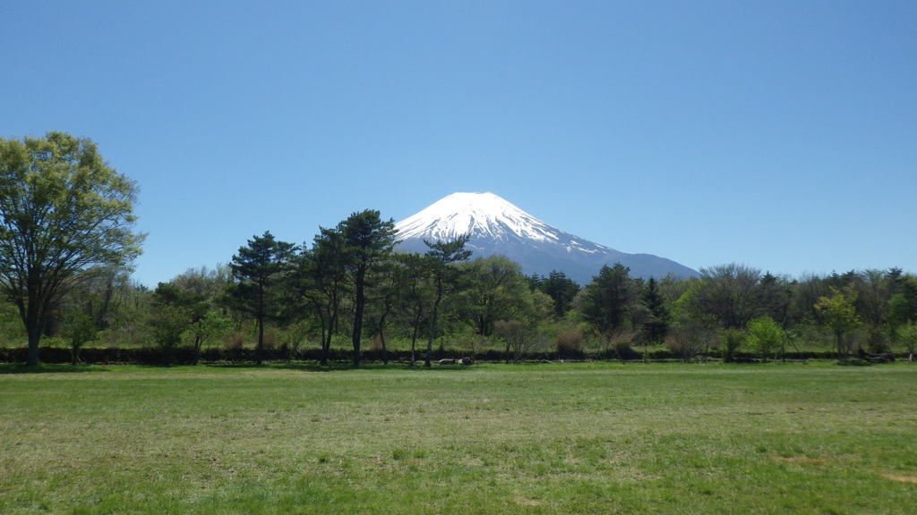 富士山と緑の大地　