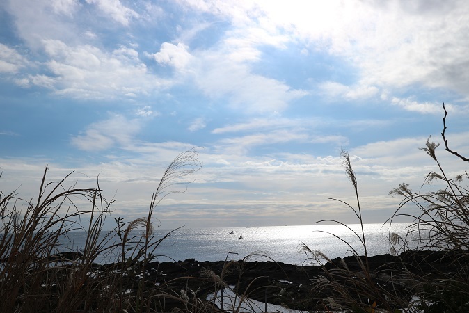 城ヶ島②