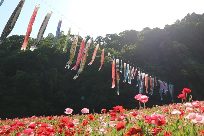 くりはま花の国９