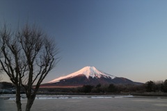 早朝の富士山②