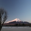 早朝の富士山②