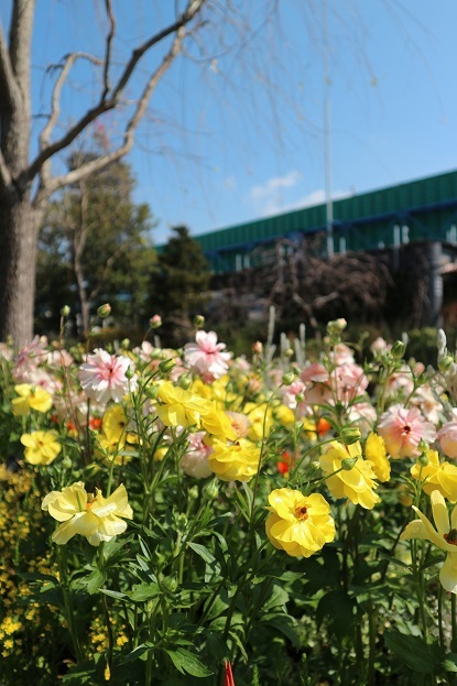 空中庭園①