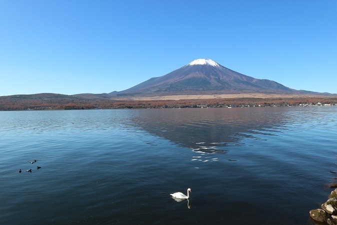 山中湖と富士山