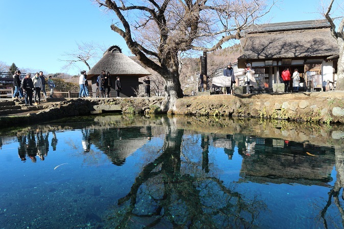 忍野八海①