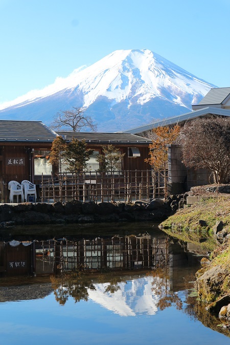 忍野八海④