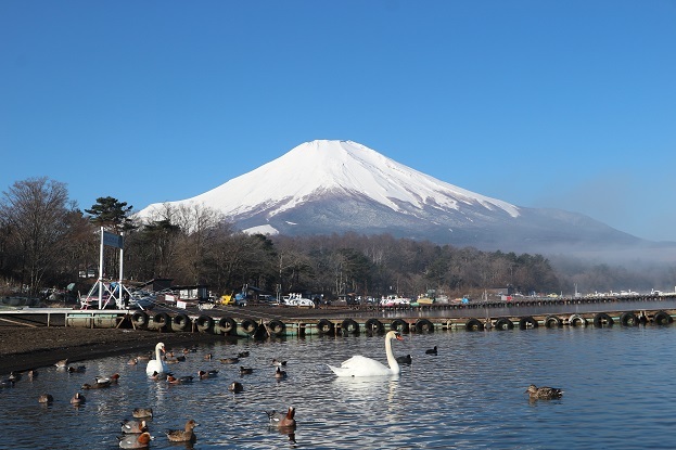朝の山中湖③