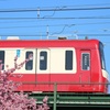 電車と河津桜④