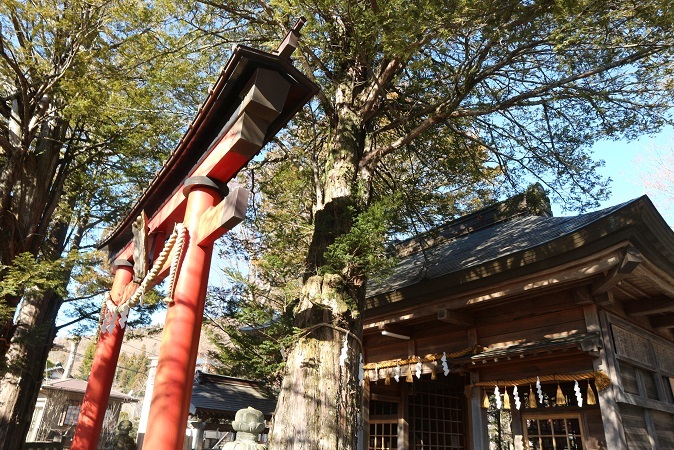 忍草浅間神社