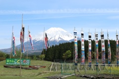 子どもの日の富士山