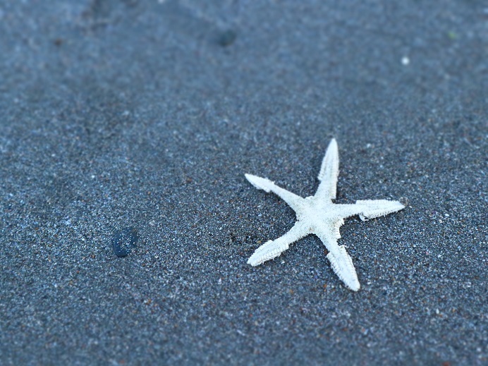 浜辺の散歩にて①