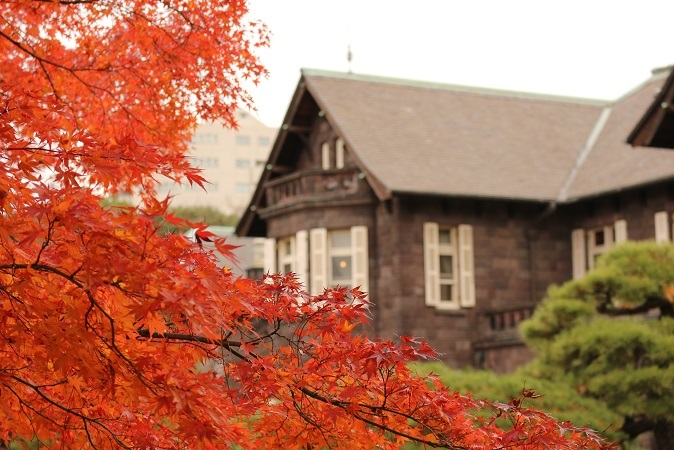 旧古河庭園の紅葉③