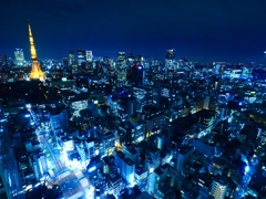 TOKYO Night