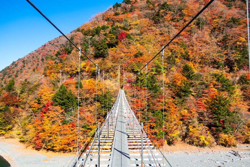 秋への架け橋