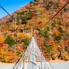 秋への架け橋