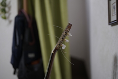 GM 50mm F1.2