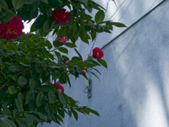 _1040212_DxO