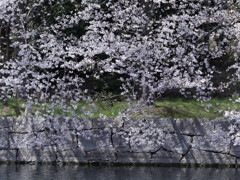 _1090463_DxO