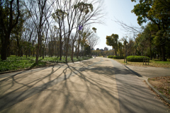 DSC00384