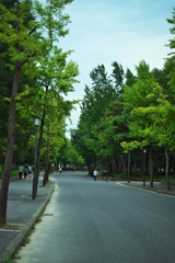 DSC01863