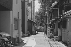 _1100184_DxO