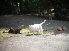 DSC00855