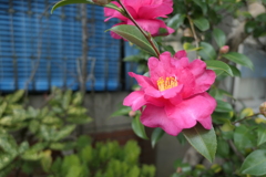 P1030377