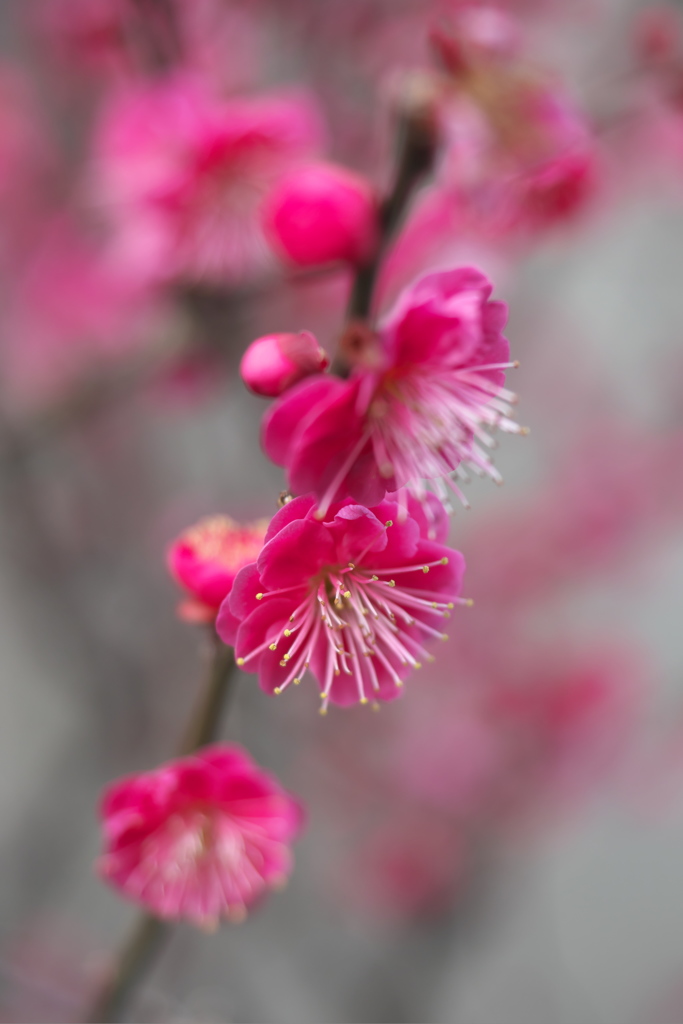 P1051406