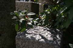 P1000286