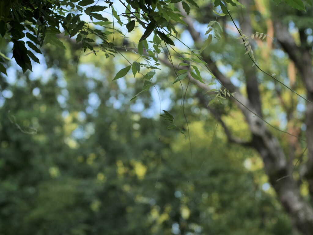 P1081405