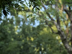 P1081405