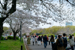 7R308935_DxO