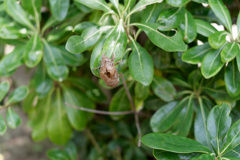 A7C02112_DxO