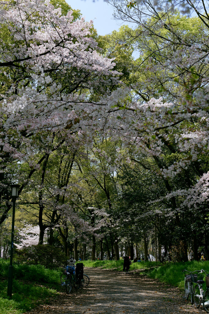P1000833_DxO