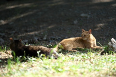 DSC00886