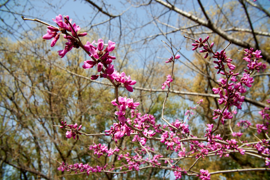 DSC00407_2