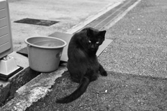DSC07000_1