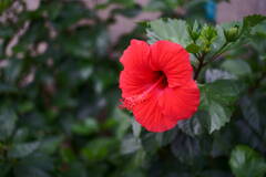 DSC00031