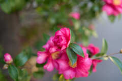 A7C08551 1