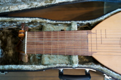 DSC01137