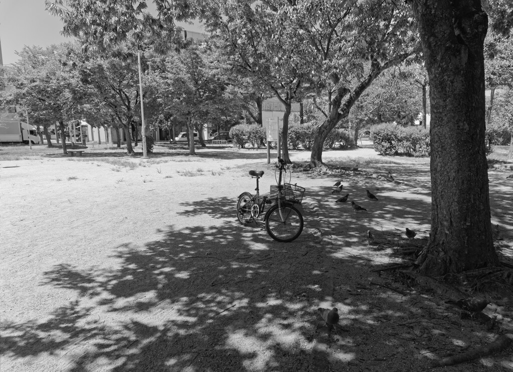 _1069523_DxO-1