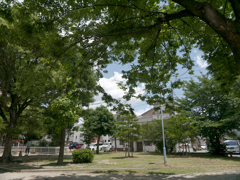 _1010086_DxO
